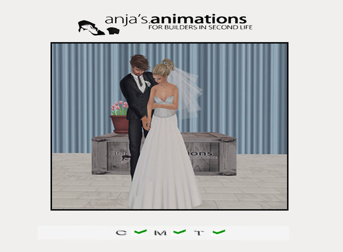 Wedding Animations [Full Perm]Cut Cake