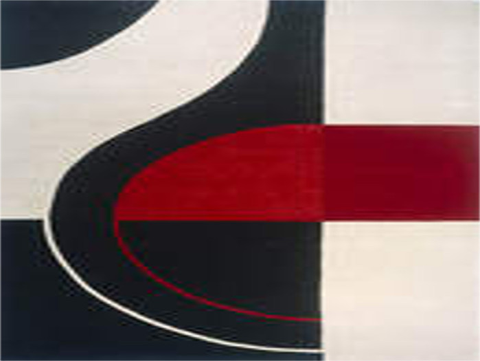 Red, Black and White Rug 