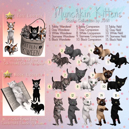 JIAN Munchkin Kittens :: Tote Lootbox RARE