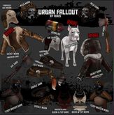 Foxes - Urban Fallout - Goggles - Worn [box]