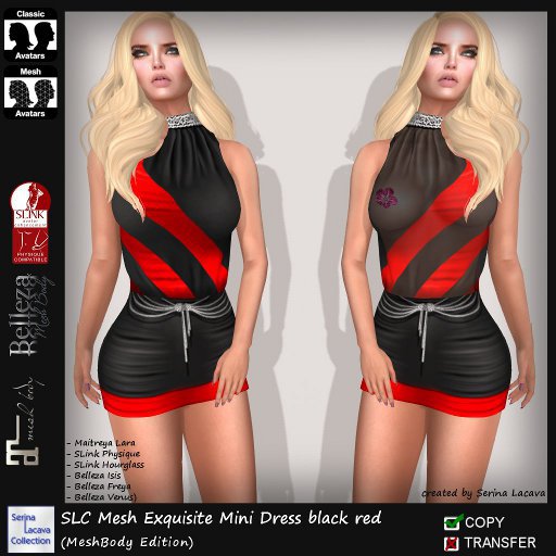 SLC Mesh Exquisite Mini Dress black red