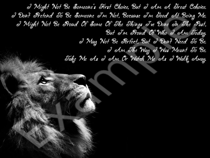 LionBlackNoFirstChoice