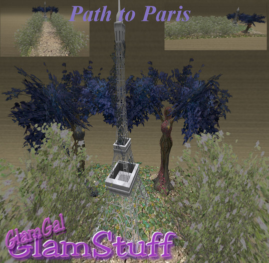 GlamGal Path to Paris