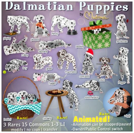 Mutresse-Stealing-Dalmatian Puppies RARE