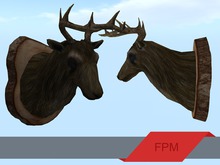 FPM Mounted Elk Head