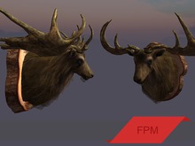 FPM Mounted Male Elk - Full Perm - 3 LI