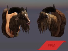 FPM Mounted Goat Head - Full Perm - 1 LI