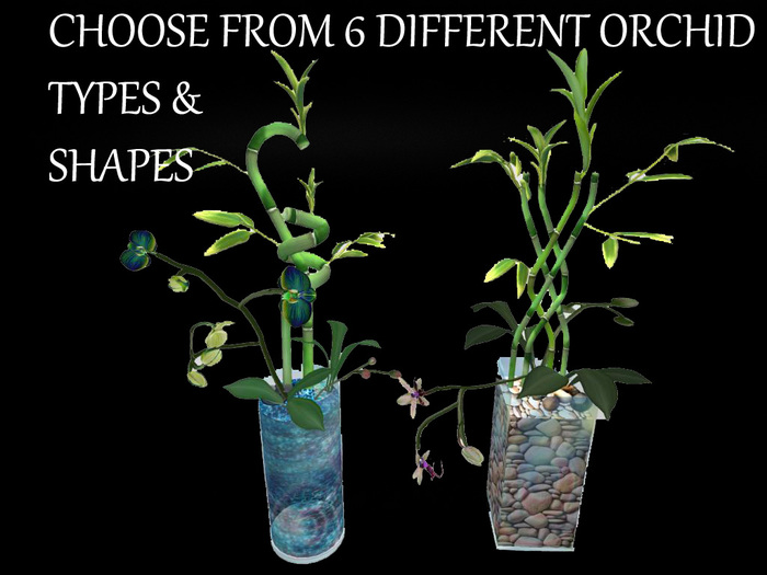 2 Bamboo with menu- choose type, orchids & textures
