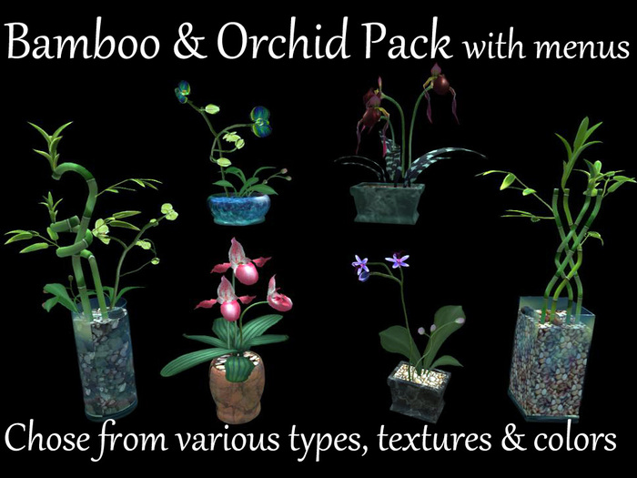 BAMBOO & ORCHID COLLECTION