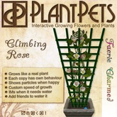 PlantPet Seed [Climbing Rose *Faerie Charmed*]