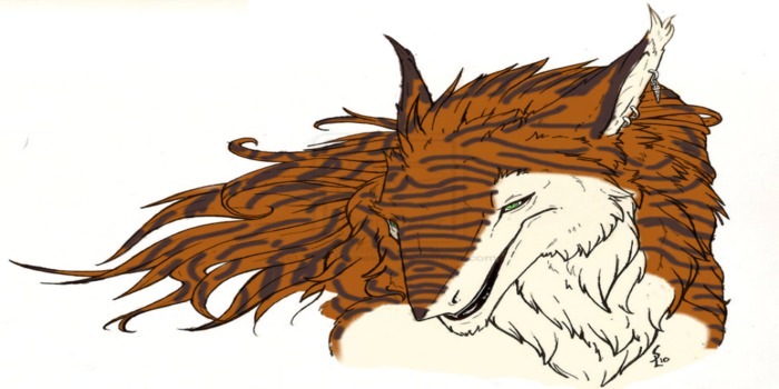 ONA Skadi Orange Brindle sergal