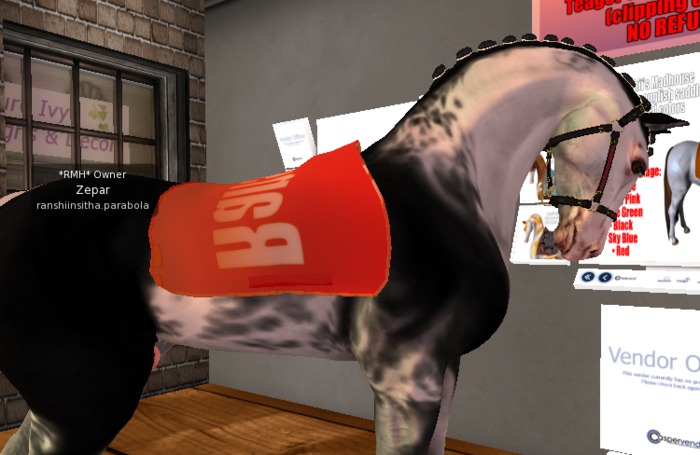 *RMH* DEMO teegle saddlepad