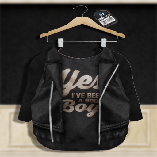 [F] Leather Biker Jacket W/Tshirt [Good Boy]