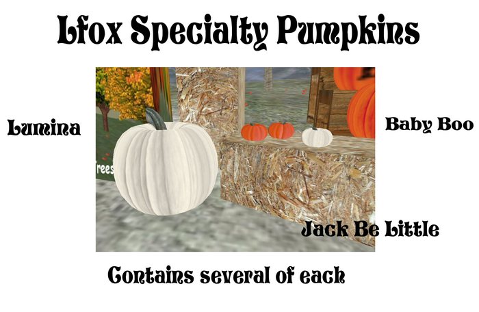 lfox Specialty Pumpkins
