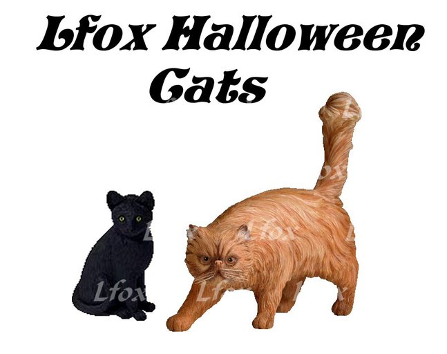 lfox Halloween Cats Set (boxed)