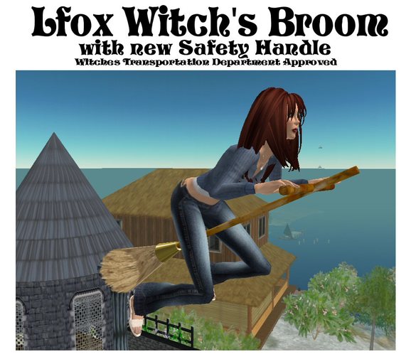 lfox Flying Witch's Broom (boxed)