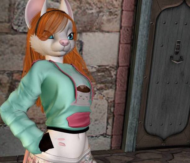 .:M&M:. kemono - Pulled Pullover cute texture pack