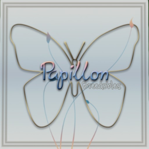 {Papillon} 12-Month Combo Pack [Boxed]