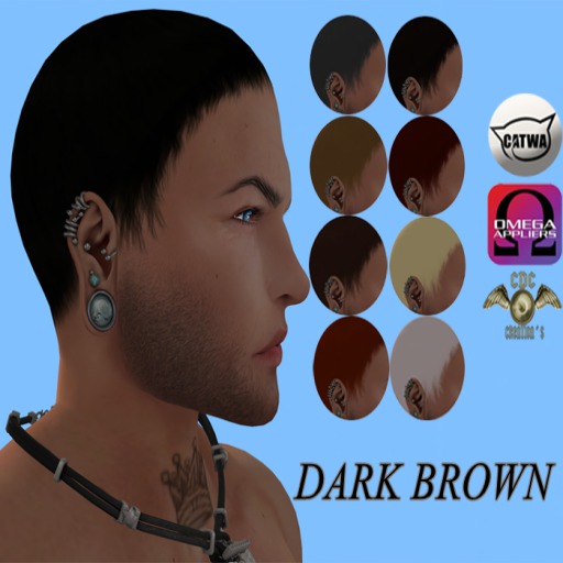 .::CDC Hair Base Male Brown Catwa/Omega 09**