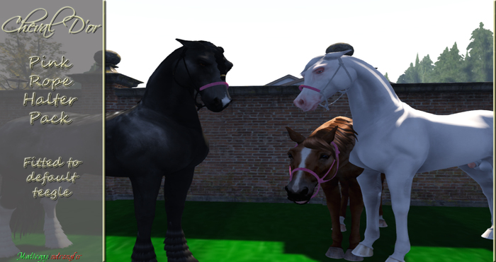 Cheval D'or - Teegle - Pink Rope Halter Pack