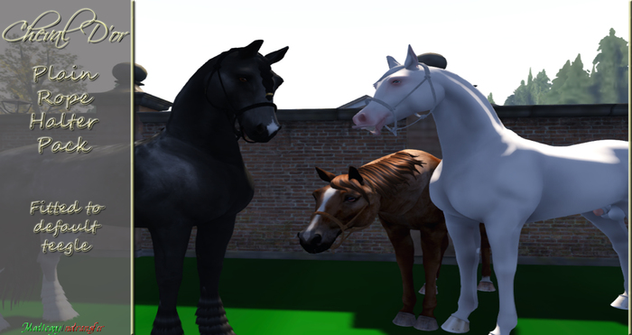 Cheval D'or - Teegle - Plain Rope Halter Pack