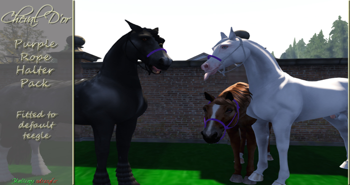 Cheval D'or - Teegle - Purple Rope Halter Pack
