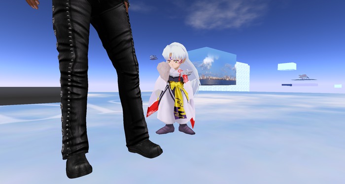 Sesshomaru - Follower