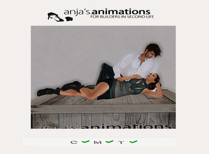 Couple's Animation [Full Perm] cv:One