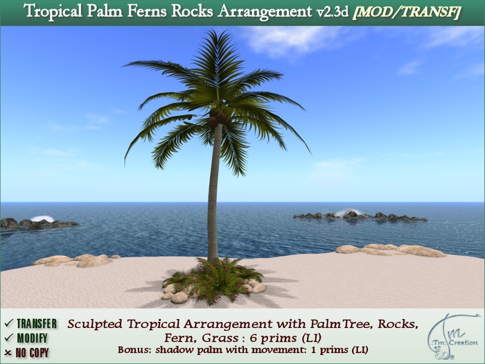 Palm Tree Tropical w/ Ferns Rocks Arrangement v2.3d. M/T