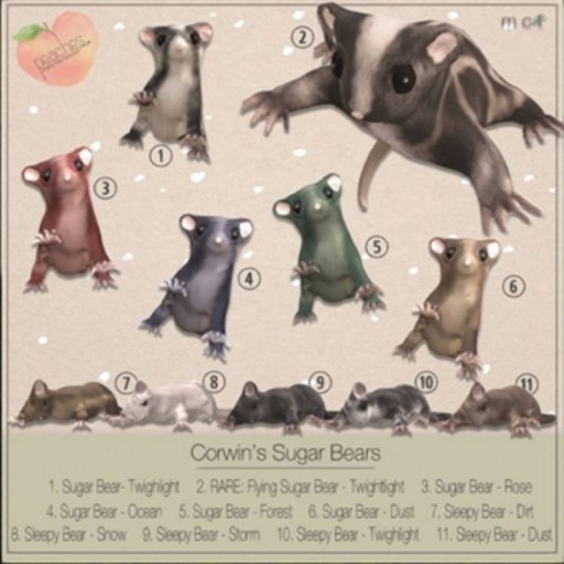 .peaches. Corwin's Sugar Bears - Sleepy Dust