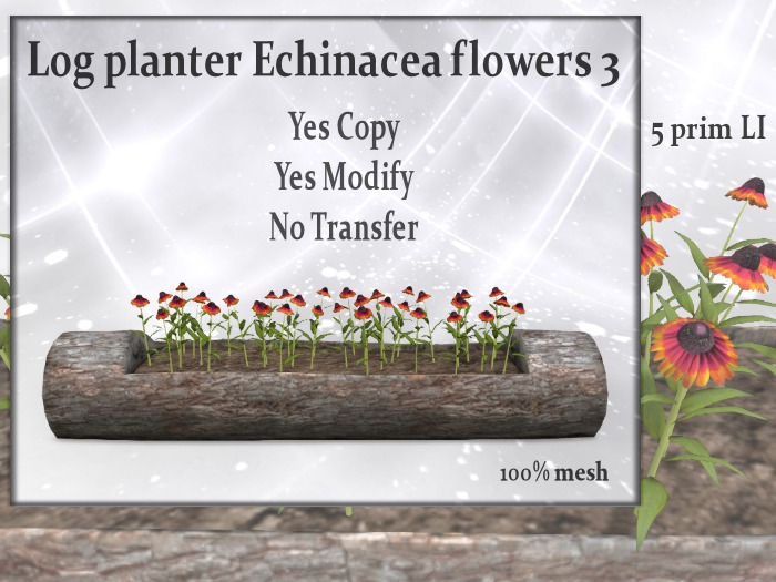 !Moril Creations! Log planter Echinacea flowers 3