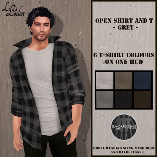 LL - Open Grey Shirt and T BOXED