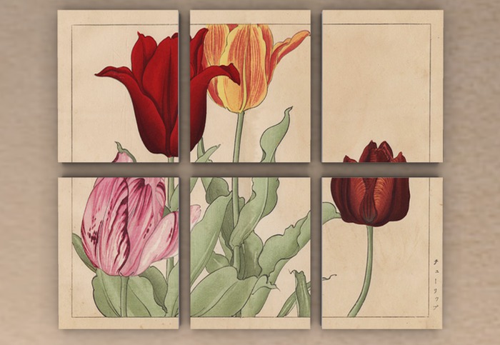 Headcase Tulips Print  (boxed)