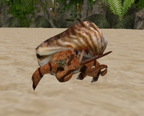 Animated Hermit Crab