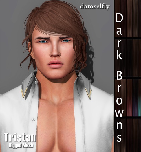 *~*Damselfly*~*Tristan Dark Browns