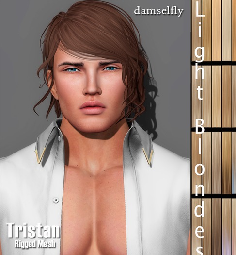 *~*Damselfly*~*Tristan Light Blondes