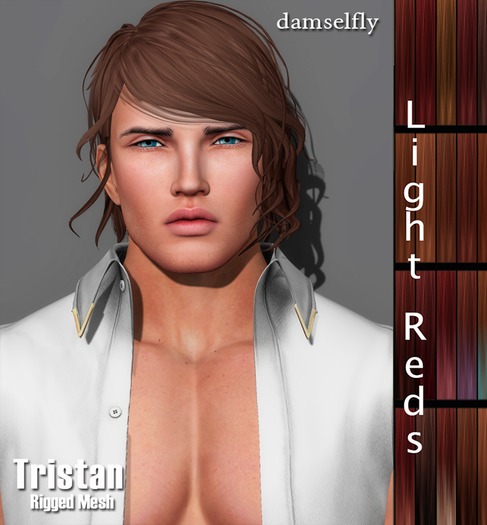 *~*Damselfly*~*Tristan Light Reds