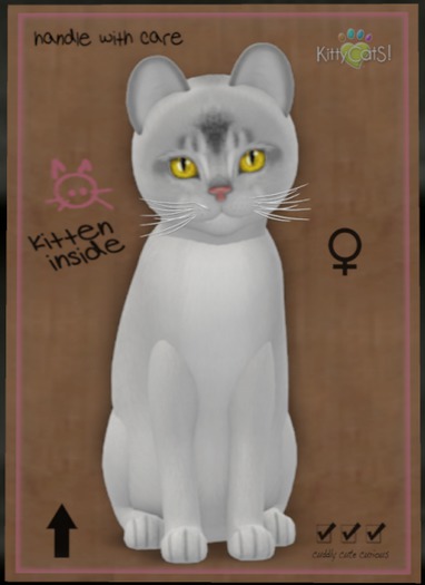 KittyCatS Box - Abyssinian - Black Silver