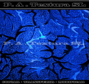 Textura parede
