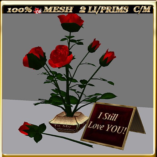 LW_  Valentine Rose Bush 2