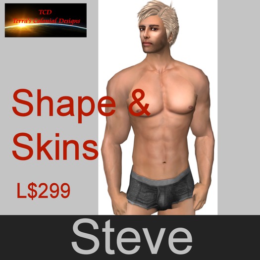 Steve Skins & Shape
