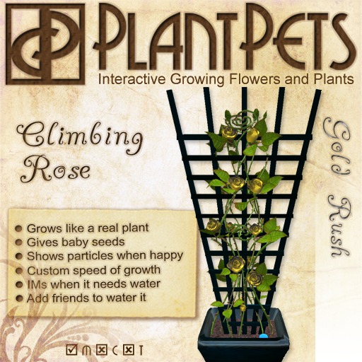 PlantPet Seed [Climbing Rose *Gold Rush*]