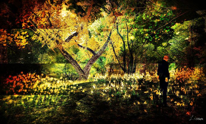 Blue Tree Art - 1.2  Forest Canvas