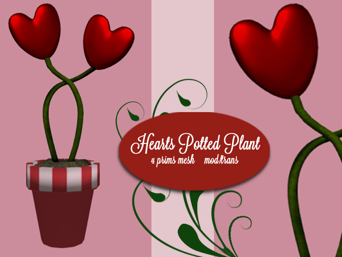 Heart Plant