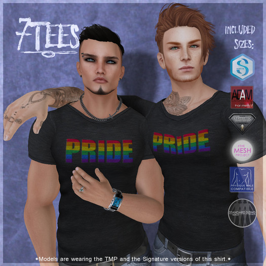 {7Ts} PRIDE Tee [5 Mesh Body Sizes/Standard Sizes]