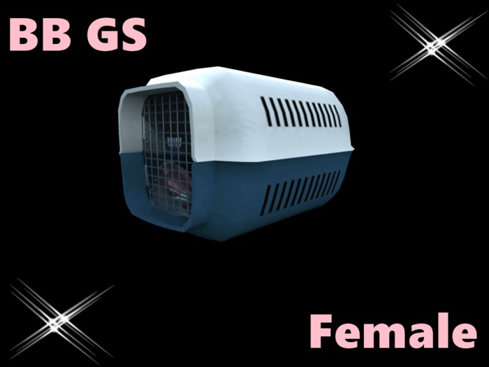 BB GS Box