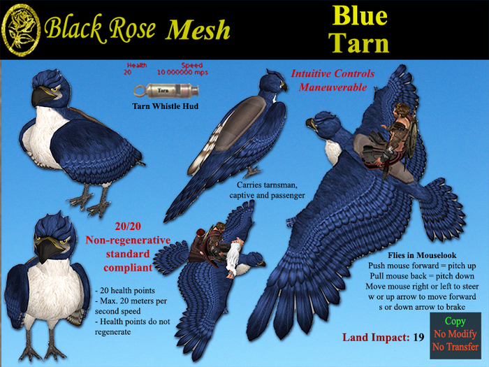 Black Rose Mesh Tarn Blue