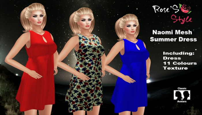 ROSE'S STYLE Naomi Mesh Summer Dress (Gift)