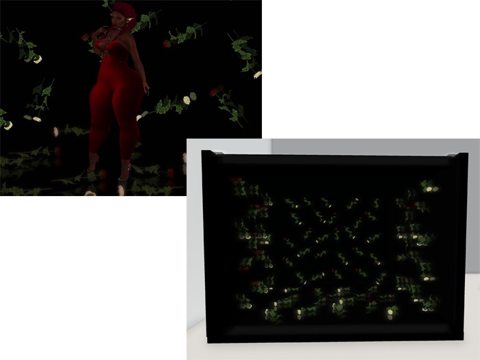 >DH> Roses