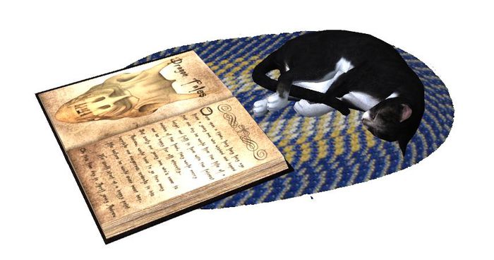 Cat with Spellbook